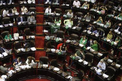 Legalización del aborto: las mejores fotos de la maratónica sesión en Diputados