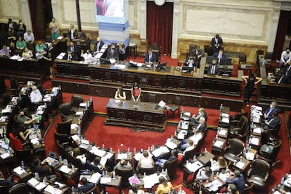 Legalización del aborto: las mejores fotos de la maratónica sesión en Diputados