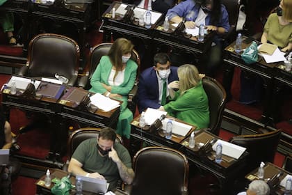 Legalización del aborto: las mejores fotos de la maratónica sesión en Diputados