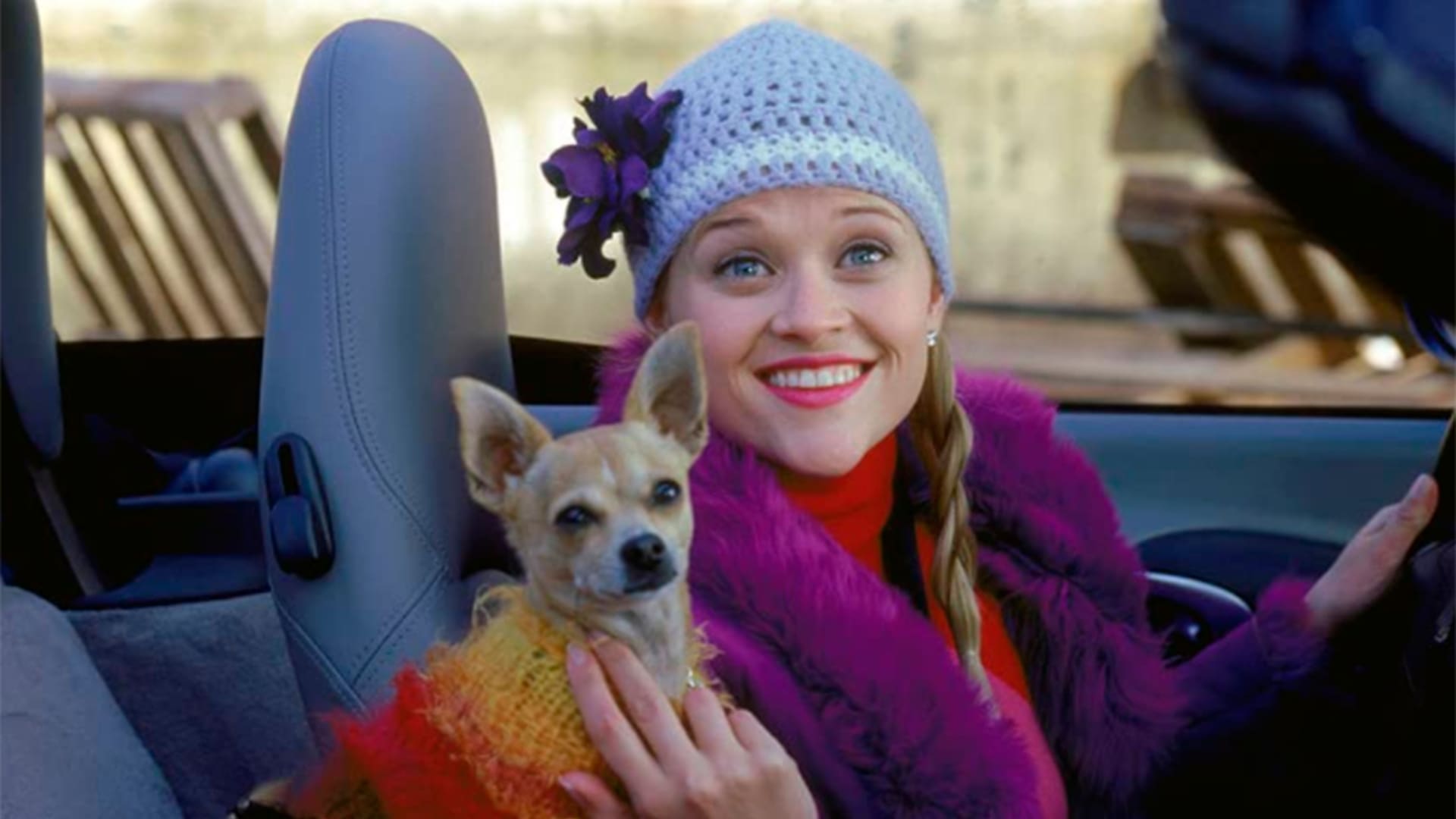 Legalmente rubia, la comedia romántica que rompió el molde y consagró como superestrella a Reese Witherspoon