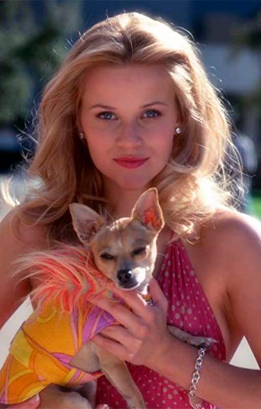 Legalmente rubia, la comedia romántica que rompió el molde y consagró como superestrella a Reese Witherspoon