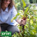 Por qué esta época del año ofrece algunos de los sabores más intensos y reconfortantes