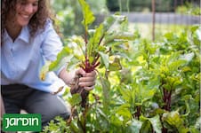 Por qué esta época del año ofrece algunos de los sabores más intensos y reconfortantes
