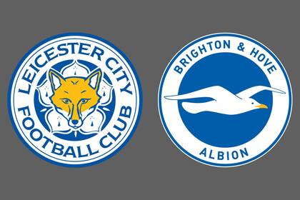 Leicester City-Brighton and Hove Albion