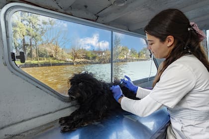 Leila atiende a los animales dentro de su embarcación