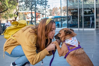 Leila, empleada de Accenture, tiene 10 gatos y una perra. Para ella el beneficio de cobertura veterinaria es fundamental