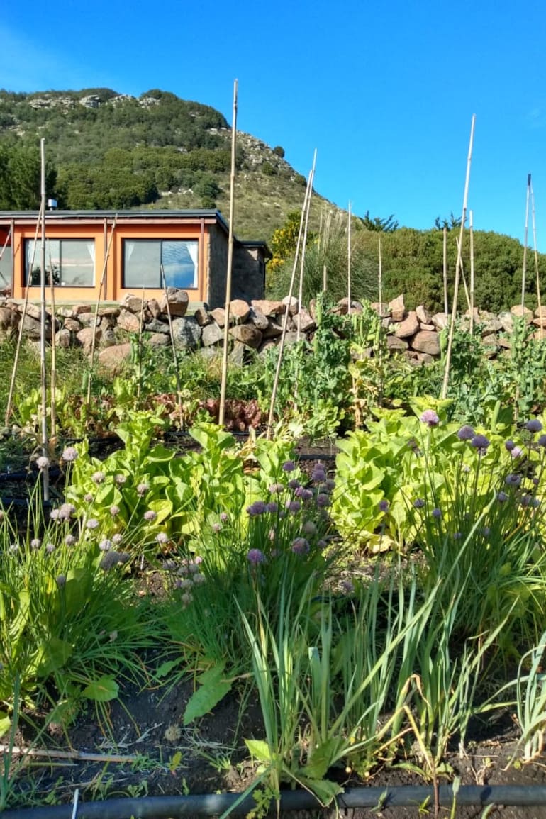 Lejos del ruido y en contacto íntimo con la naturaleza, es un oasis serrano perfecto para desenchufarse y animarse a los deportes al aire libre.