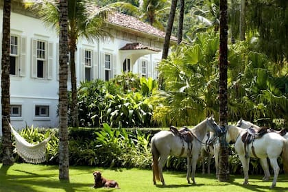 Lenny Kravitz es dueño de una antigua finca de café que data del siglo XIX, en Brasil
