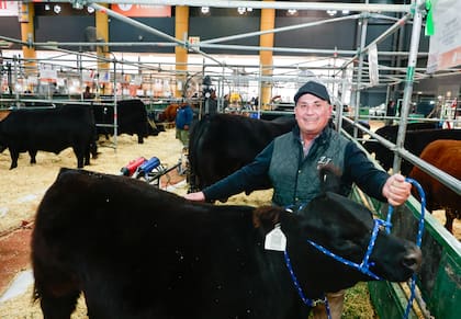 Lenti ganó el segundo premio con una ternera intermedia Angus negra