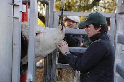 Leo Facio trabajó con su padre hasta hace un tiempo haciendo estos procedimientos dentales para los animales. Foto: Ricardo Pristupluk