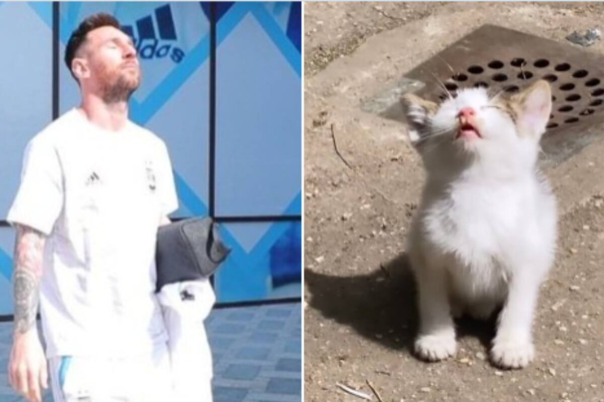 Leo Messi también apareció como protagonista en los memes por Argentina en las redes sociales