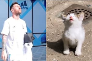 Leo Messi también apareció como protagonista en los memes por Argentina en las redes sociales