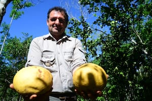 Leo Rangel en su chacra Yasi Yateré, en El Soberbio, Misiones, un gran reservorio de plantas y frutas