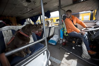 León Darío Sipes transporta perros en un antiguo ómnibus escolar, que bautizó La Bestia