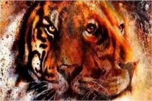 ¿León o tigre? El nuevo test de personalidad que revelará detalles inéditos de tu forma de ser