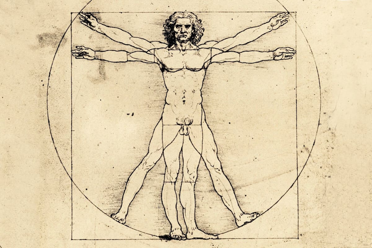 Leonardo Da Vinci Louvre