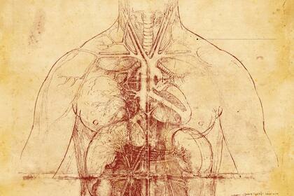 Leonardo da Vinci hizo disecciones en 30 cadáveres