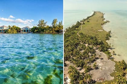 Leonardo DiCaprio compró Blackadore Caye con el objetivo de realizar una restauración integral del ecosistema local