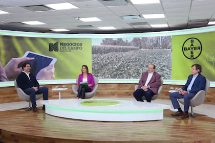 Leonardo Sarquís, ex ministro de Agroindustria bonaerense, Eleonora Cole, periodista de LN+, Alfredo Gusmán, presidente de la Asociación Argentina de Angus, y Hernán Busch, del Banco Galicia En el evento Negocios del Campo, organizado por la nacion, se analizaron las principales tendencias de la act