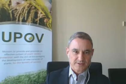 Leontino Taveira, director de Desarrollo Global y Asuntos Técnicos del organismo