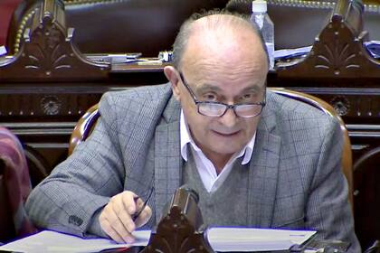 Leopoldo Moreau preside la comisión bicameral