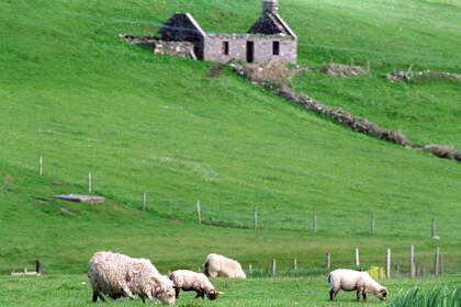 Lerwick es la capital y principal puerto de las Islas Shetland, Escocia, ubicada a más de 160 kilómetros de la costa norte del territorio continental de Gran Bretaña