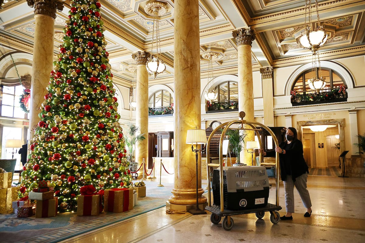 Leslee Oden usa carritos de equipaje para llevar uno de los pavos nacionales de Acción de Gracias, a través del vestíbulo del Hotel Willard InterContinental el 23 de noviembre de 2020 en Washington, DC