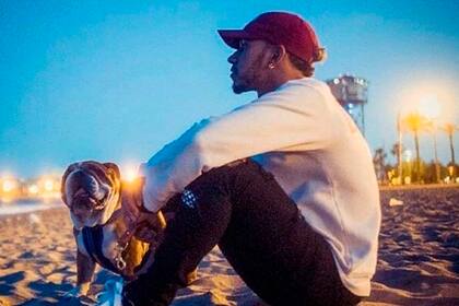 Lewis Hamilton y su perro bulldog Roscoe