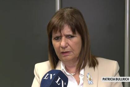 Ley Bases. Patricia Bullrich defendió el operativo en el Congreso y apuntó contra los diputados en las protestas