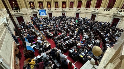 Ley Bases y paquete fiscal se debate en Diputados desde el mediodía
