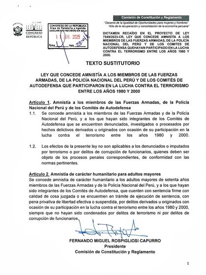 Ley de amnistía