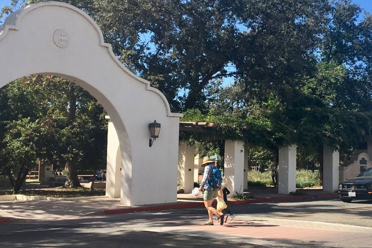 Palmeras de Ojai.