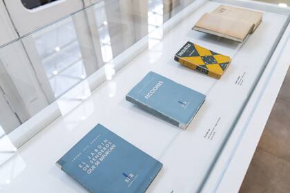 Libros de colección en el Borges