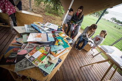 Libros y más libros: para sumergirse en la lectura