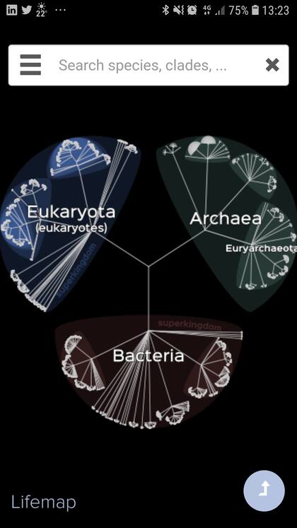 Lifemap