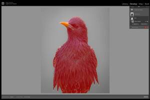 Lightroom ahora crea una máscara precisa con un clic reconociendo la figura destacada en la imagen