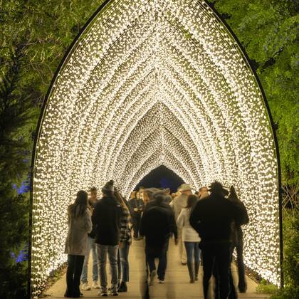 Lightscape es la salida perfecta para celebrar la temporada navideña en familia o con amigos