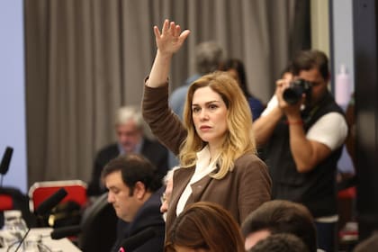 Lilia Lemoine en la comisión