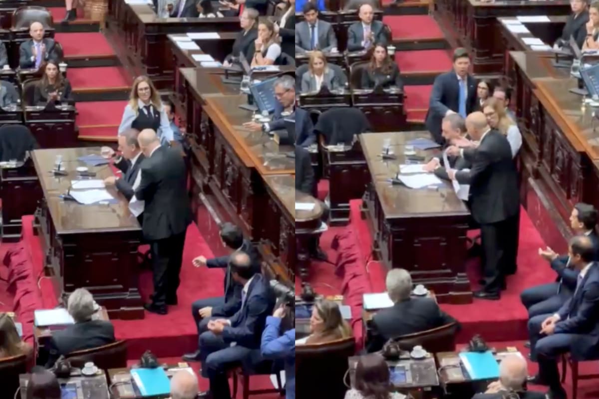 Lilia Lemoine impidió la interrupción del diputado