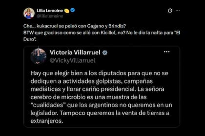 Lemoine apodó a la vicepresidenta como "Kukacruel"