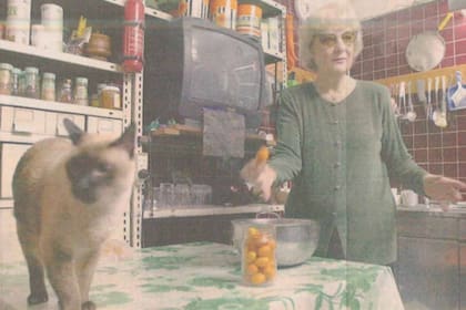 Lily Sullos con uno de sus gatos siameses en su casa de La Lucila, en una entrevista con LA NACION del año 2001