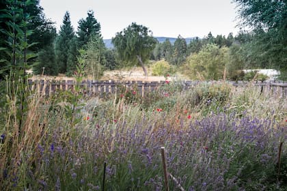 Limitado por una cerca decorativa, el jardín de flores de corte es la antesala del ingreso a la casa. Las floraciones se van sucediendo y combinan texturas, colores y aromas