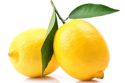 Limón: la disponibilidad de camiones aptos y cámaras de frío son algunas limitantes