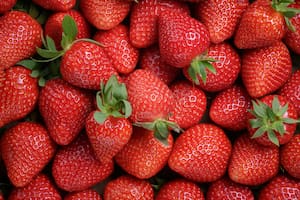Limpiar las frutillas no es nada sencillo e implica muchos pasos para eliminar bacterias, parásitos, huevos y quistes