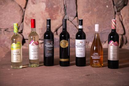 Línea de vinos de la bodega jujeña Amanecer Andino