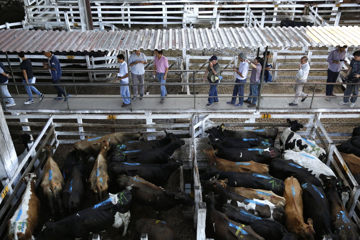 Liniers es importante no sólo para la venta de hacienda sino referencia en contratos de alquiler, por ejemplo