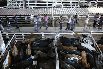 Liniers es importante no sólo para la venta de hacienda sino referencia en contratos de alquiler, por ejemplo