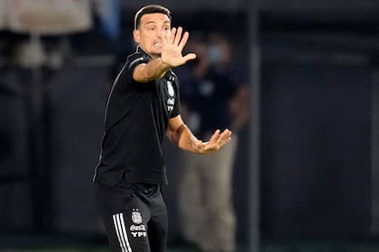Lionel Scaloni