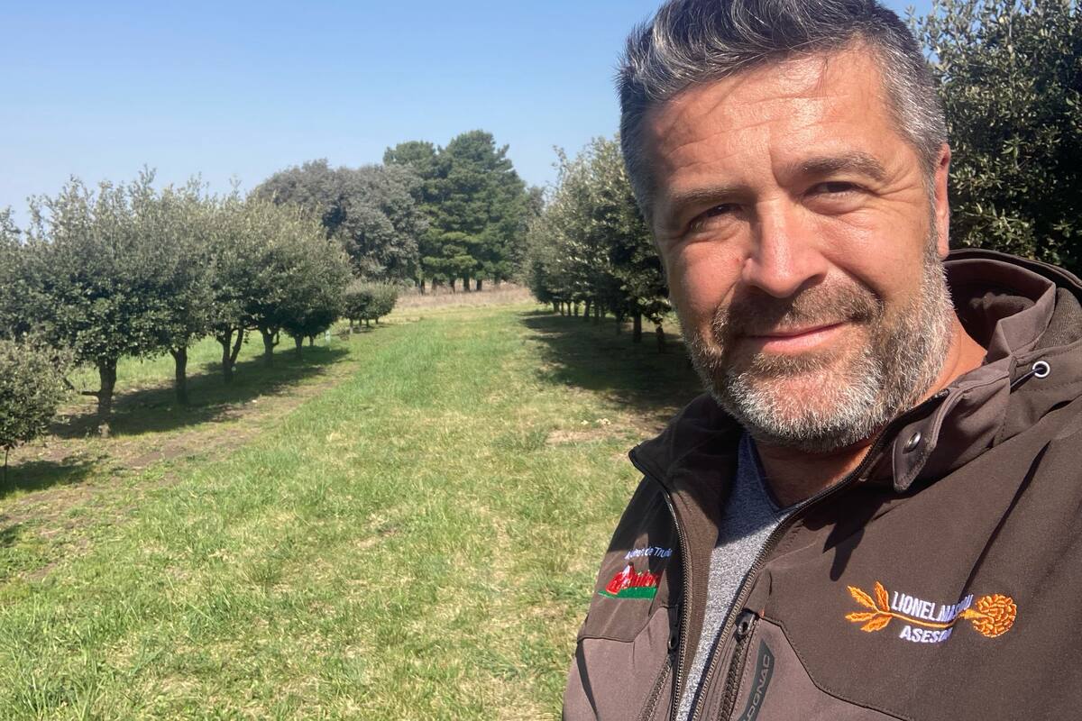 Lionel Masbou es el experto francés que asesora a la mayoría de productores de trufas argentinos