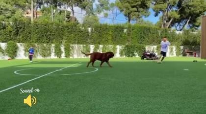 Lionel Messi juega al fútbol con sus hijos y el perro